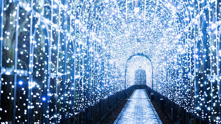 宮殿パレス ハウステンボスを取り囲む緑の回廊が光の回廊へと姿を変える。