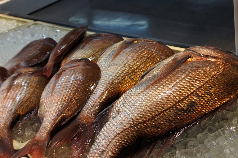 漁獲高において、長崎県は都道府県別で2位、佐世保市は市町村別で2位。マダイの漁獲高は日本一。