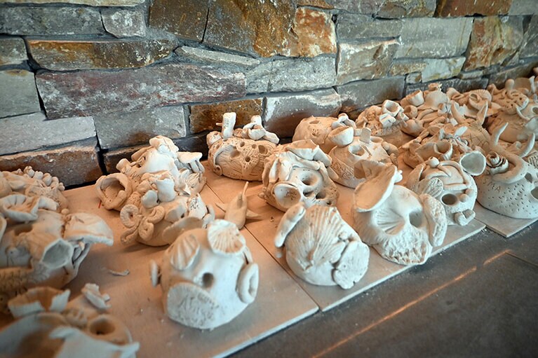 創意工夫をこらしたセラミックにサンゴを接着。スタッフが海中に移植します。