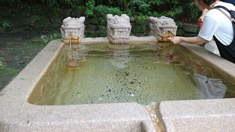 参拝の前に手水で身と心を清める。