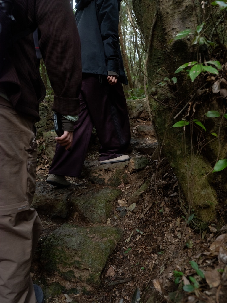 ウォーキングなど、軽いアウトドアアクティビティのシチュエーションにも。