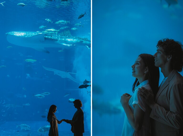 美ら海水族館の水槽前で。