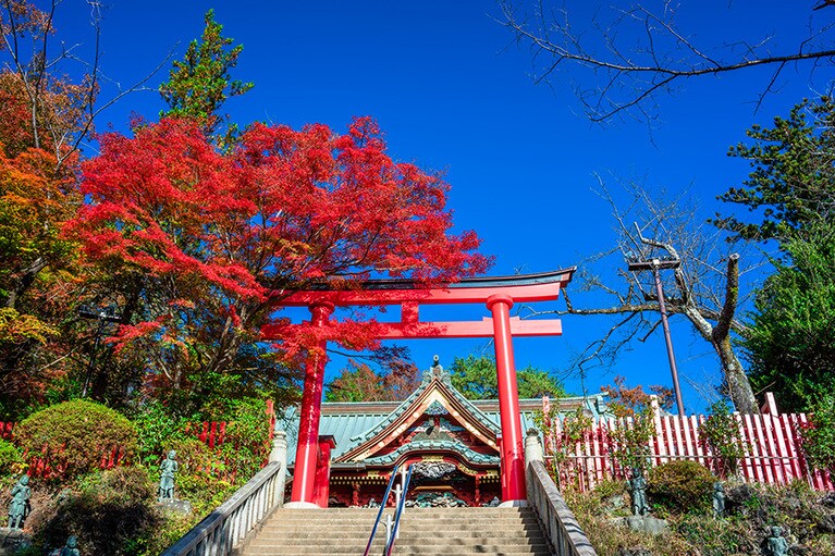 【東京都】高尾山薬王院の紅葉。