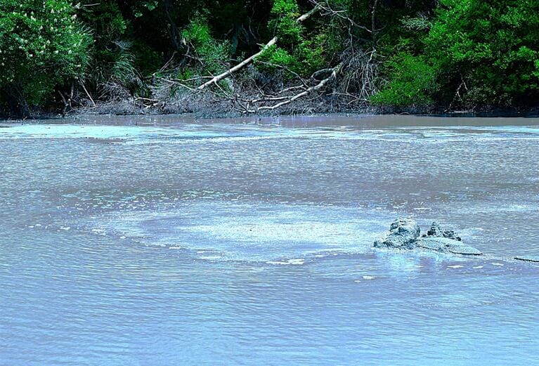 水面にはジャグジーのように熱湯が噴出している