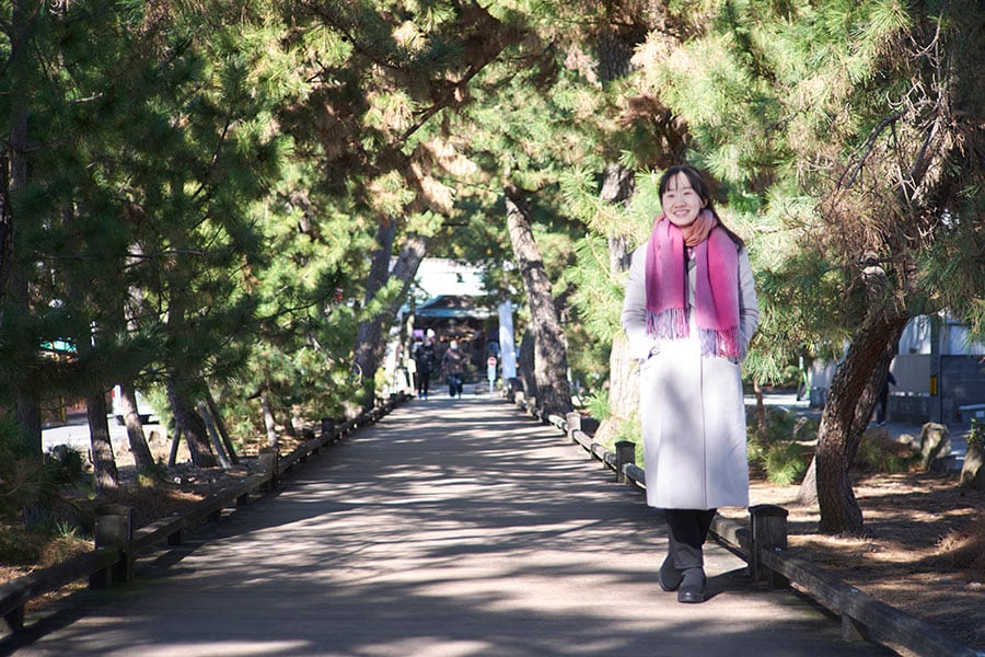 御穂神社と三保の松原を結ぶボードウォーク「神の道」。所々に羽衣伝説や謡曲、地域の歴史を説く案内板が。