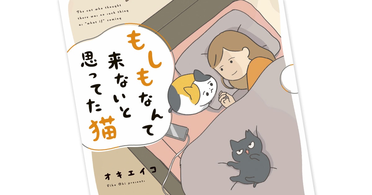 猫好きたちを共感の渦に巻き込んだ 漫画家・オキエイコさんの話題作 ...
