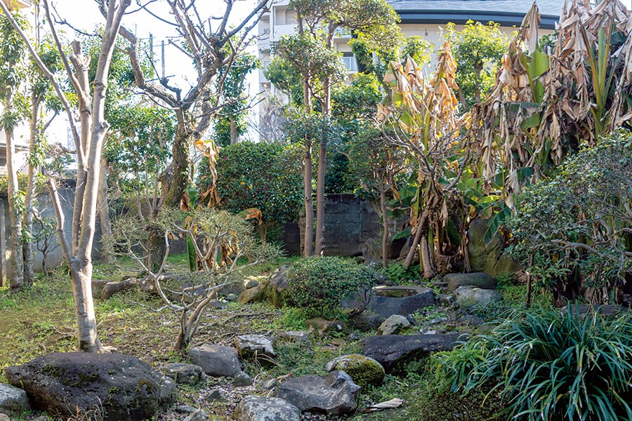 藤崎八幡宮の参道近くの路地にある夏目漱石「第六旧居」の庭。