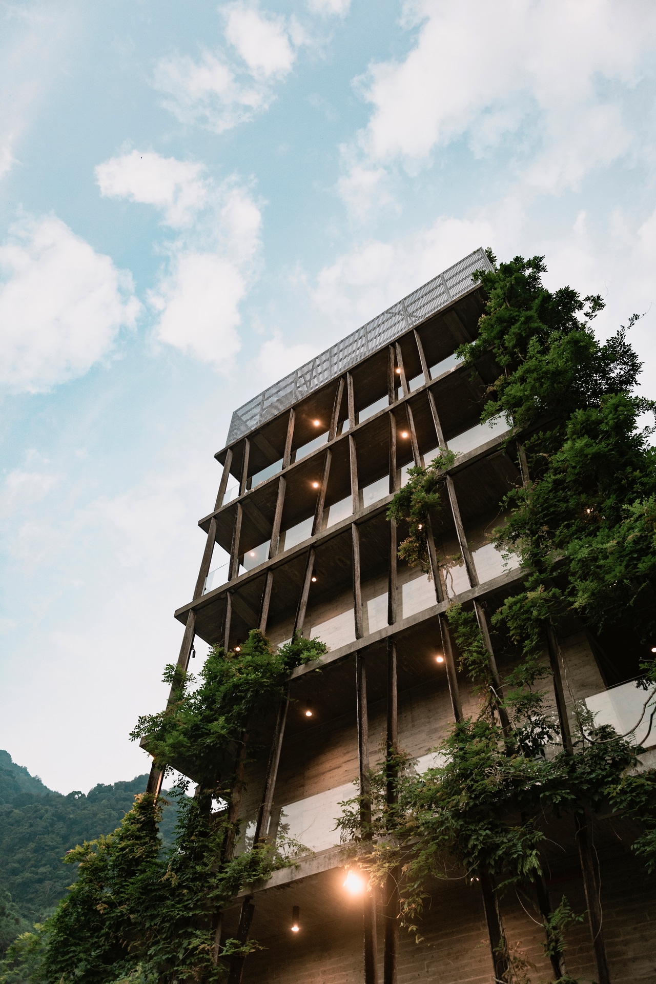 建築は自然との共存がテーマ。