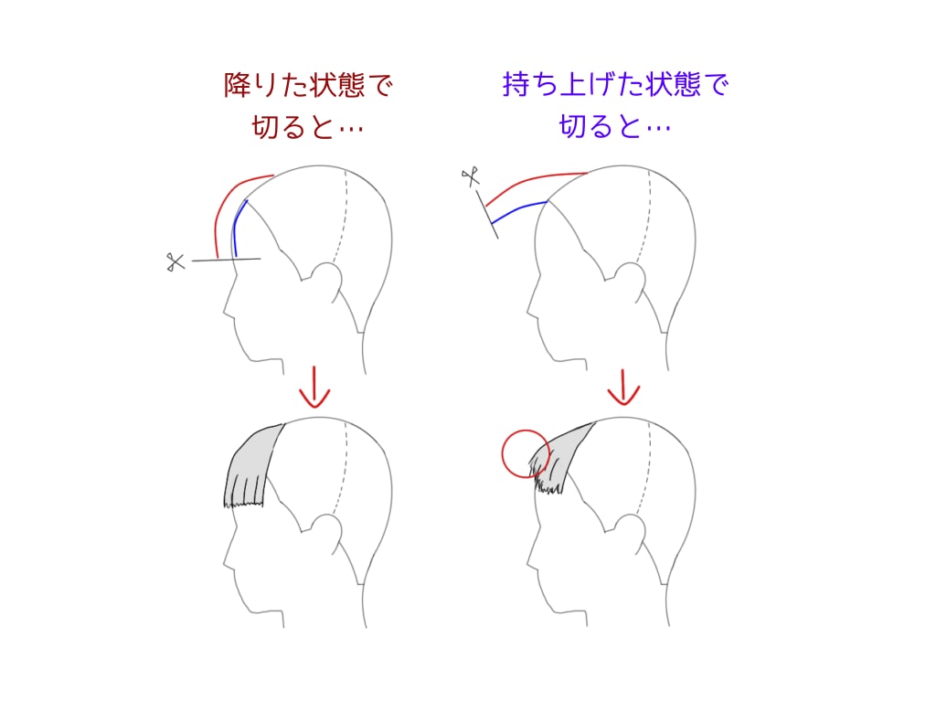 実は前髪を持ち上げて切ると切り口が不揃いになりやすい。額に降りた状態の髪を切ろう
