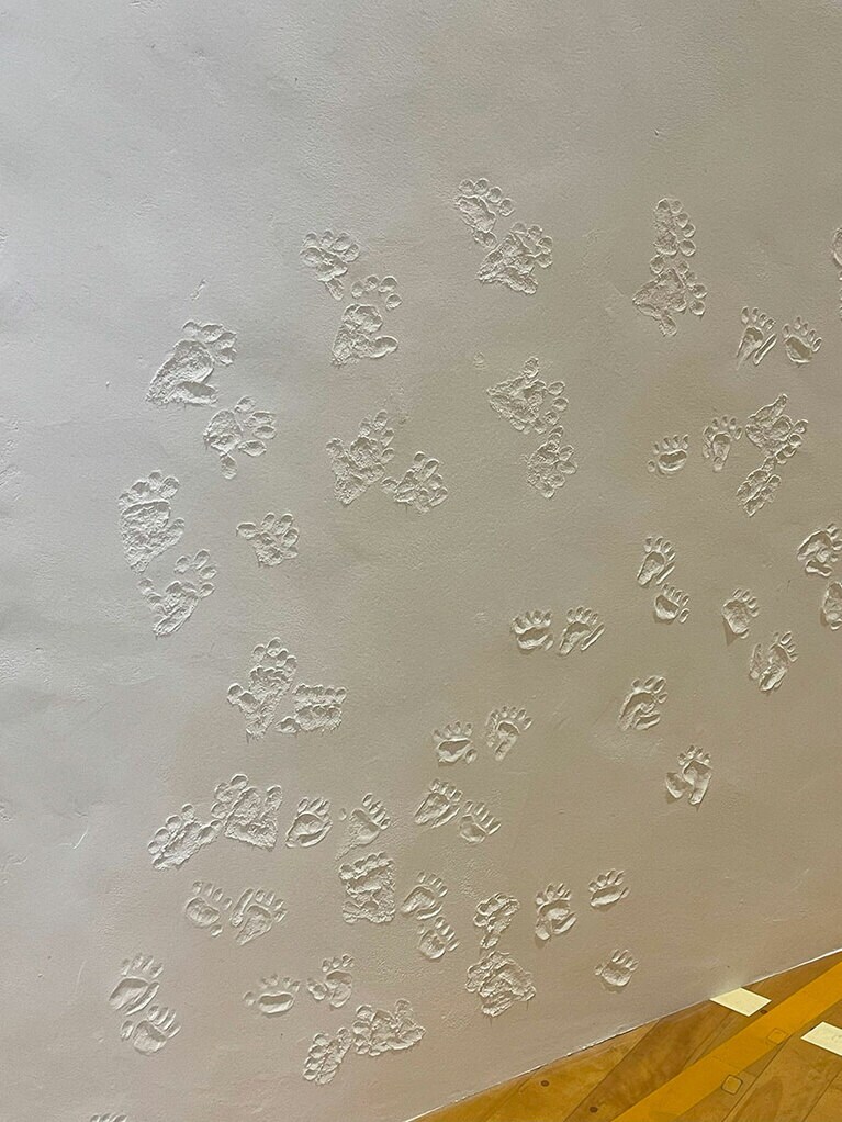 永沢碧衣《山の肚》2024