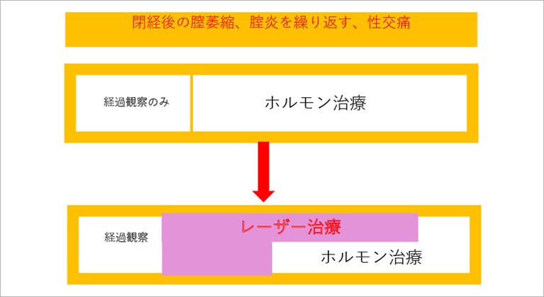 乾燥や膣炎、性交痛は、経過観察以外ではホルモン療法しか選択肢がなかったので、ホルモン療法ができない人は、治療法がそもそもなかったとか。