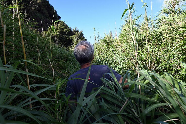 前を行く今別府さん。足もとが見えなくても、段差などのありかは大体わかっているそうです。心強い。