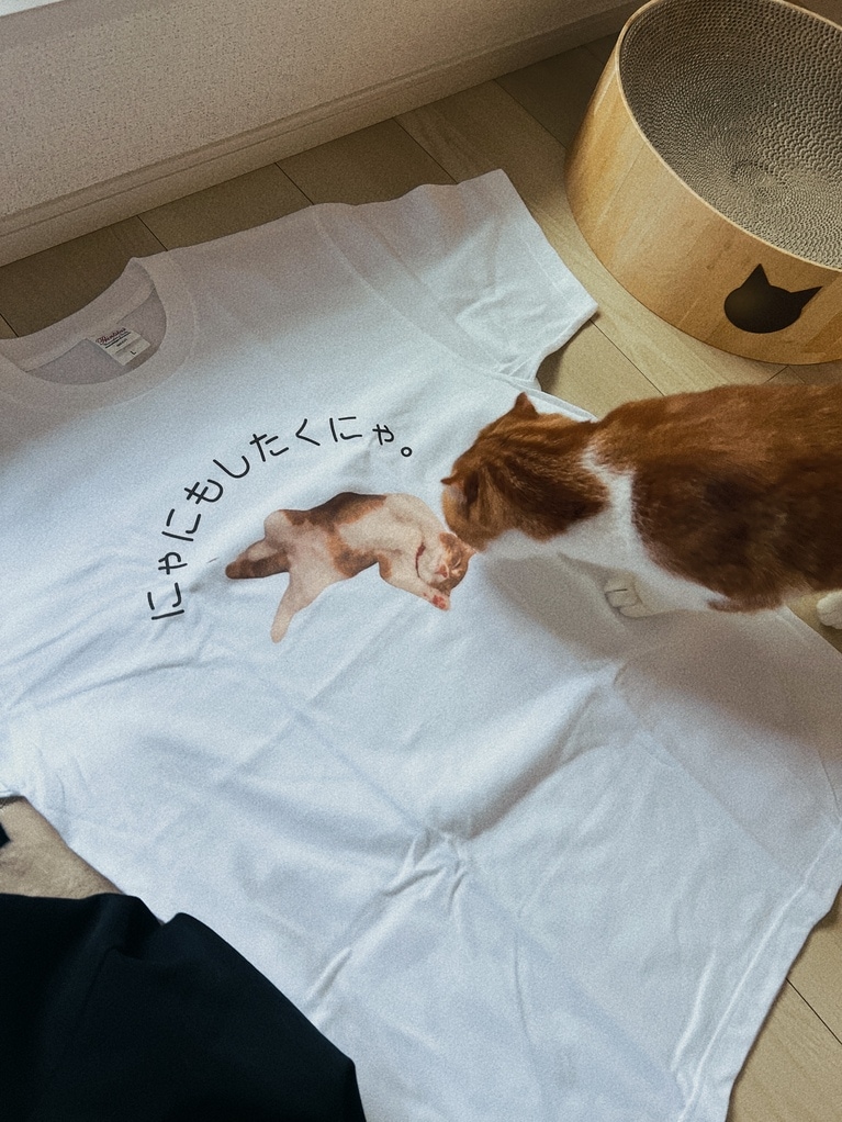 マサムネ ♂ 4歳。自分の写真がTシャツになった時の反応（purnamaさん）