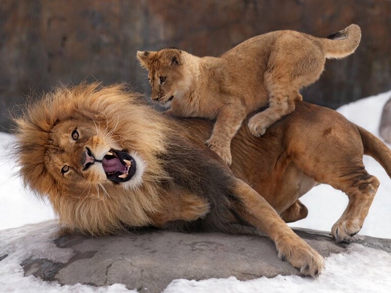 子供たちからはやられ放題。