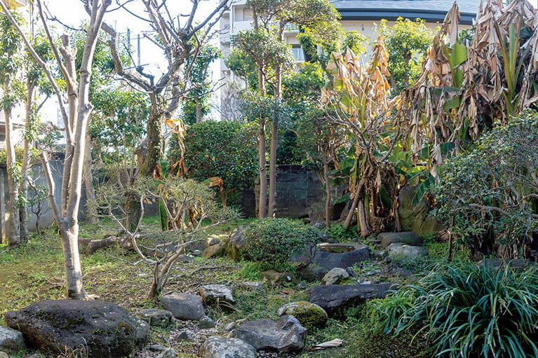 藤崎八幡宮の参道近くの路地にある夏目漱石「第六旧居」の庭。