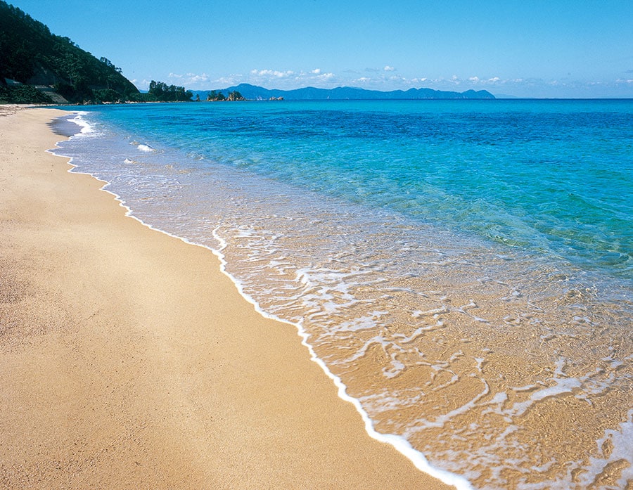 【福井県 2021年版】 夏の絶景・風物詩5選 北陸のハワイ …