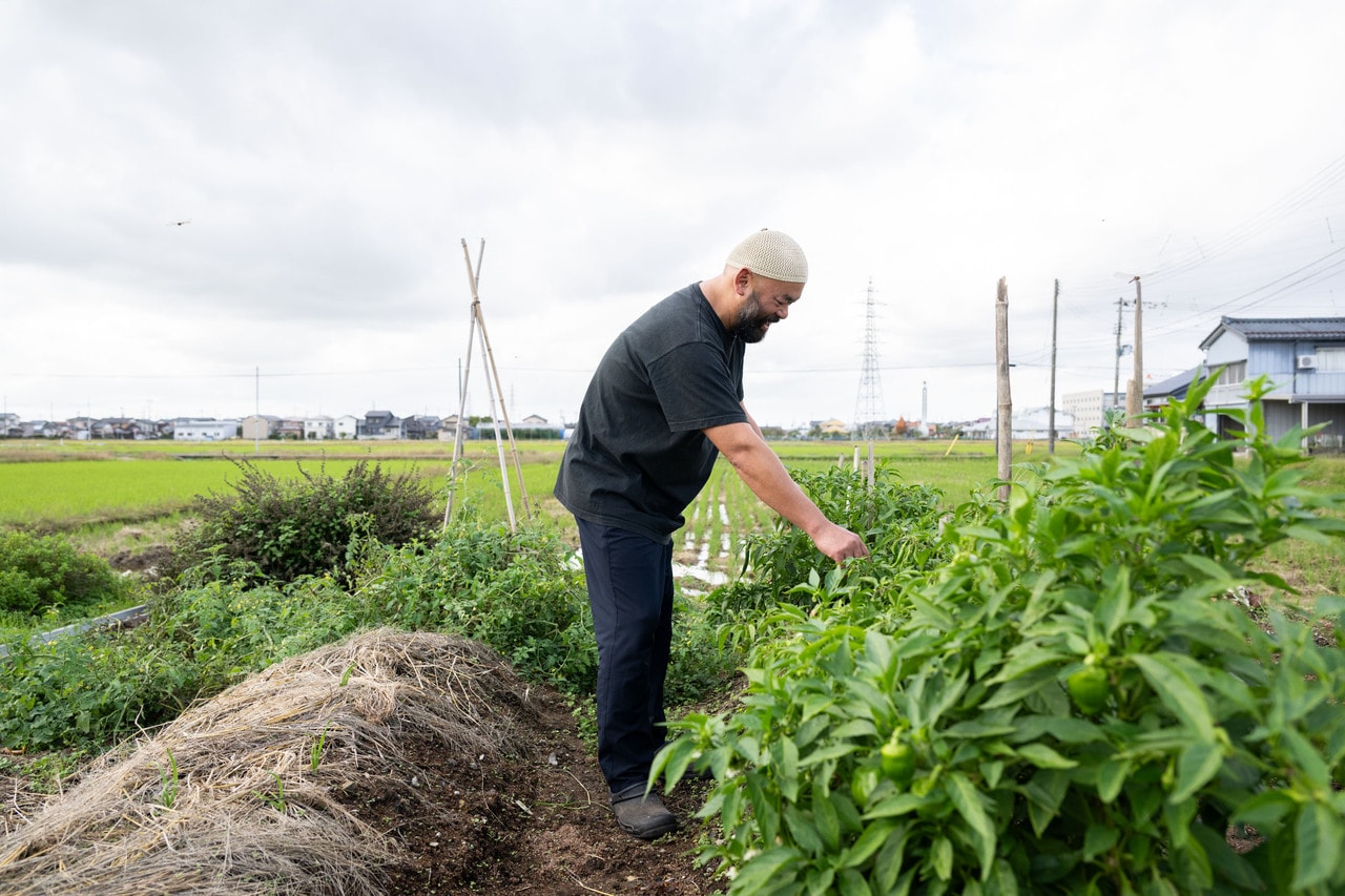 パーマカルチャーを実践している自家菜園では、新潟の伝統野菜、かぐら南蛮も栽培。