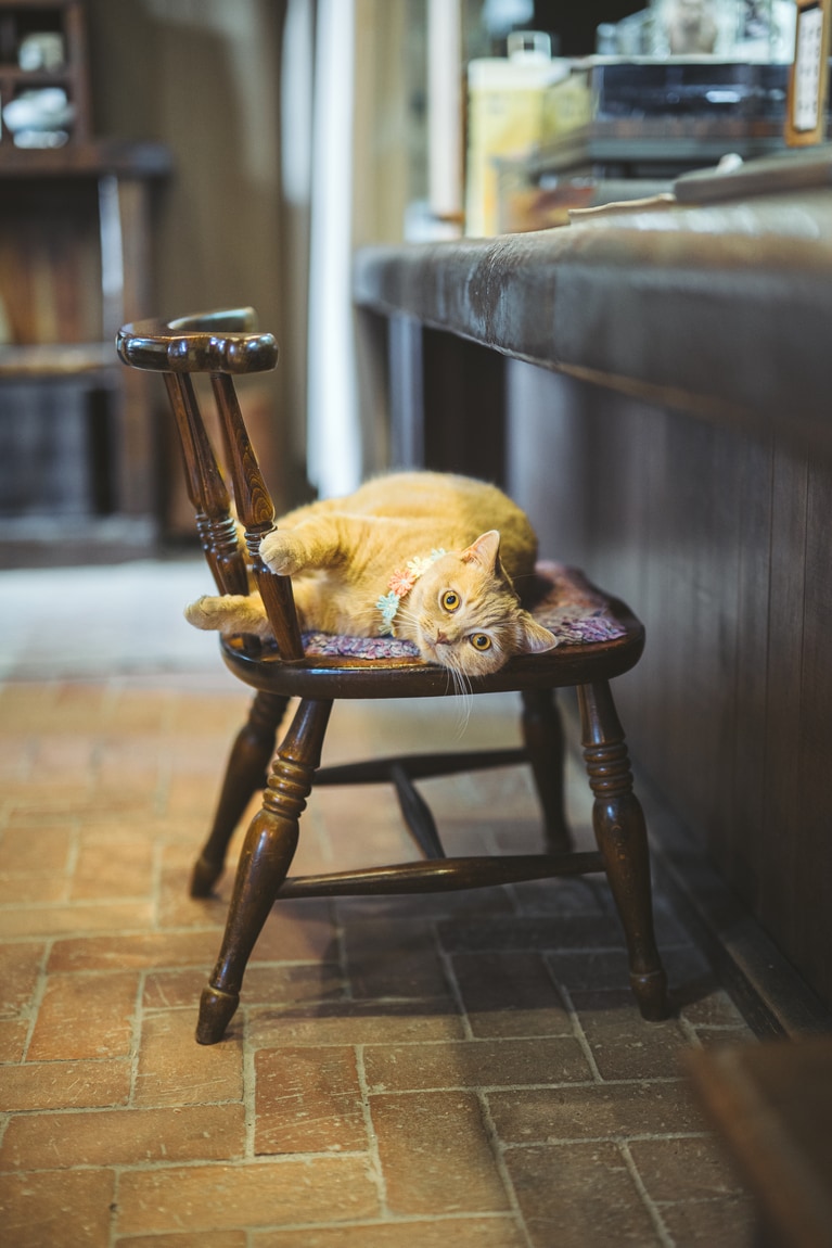 ショールームでくつろぐ香平店長を激写。