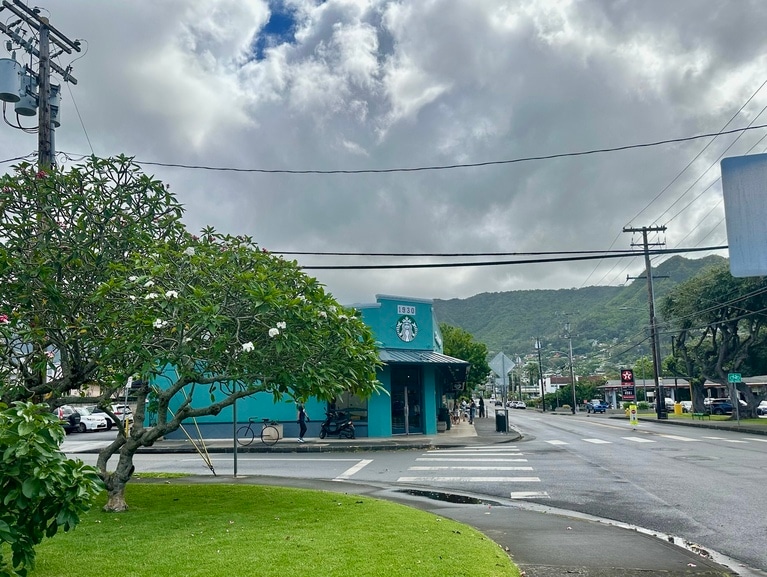 開花時間には、プルメリアの花と緑のスタバを一緒に撮影しても。