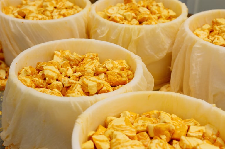 粉砕して塩をかけたカードを型に詰め、プレスする。