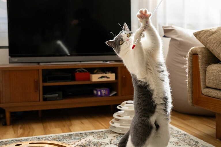 やる気満々（？）のうーちゃん。