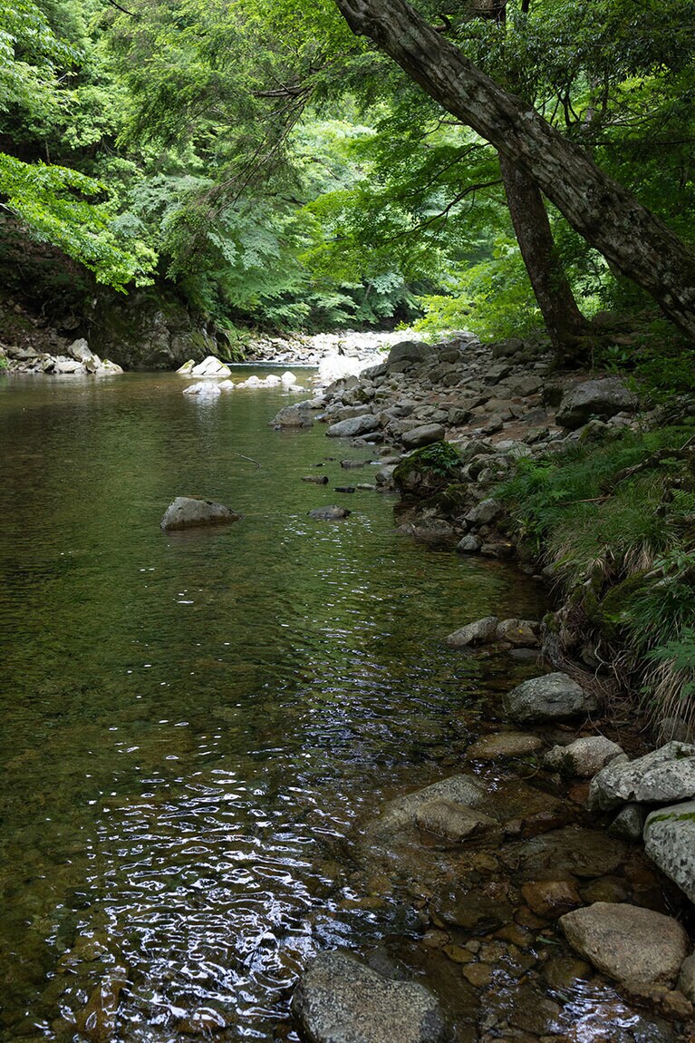 流れる水も清らかで、清々しい気持ちに。