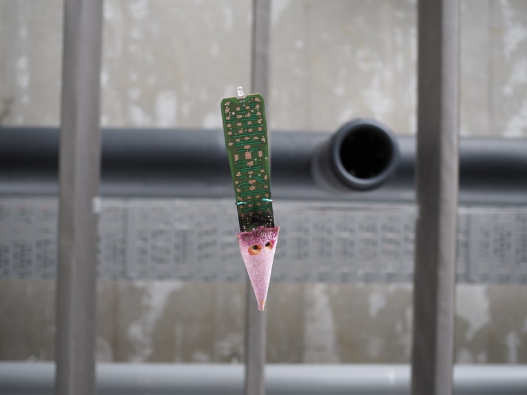 「 研ぎ澄ます、雪の妻有」 ⼭本 茜  「覗く」 上から眺めたり、下から眺めたり。