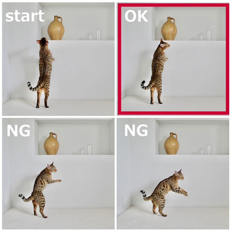 「4Kフォトモード」の4K連写はボタンを押している間ずっと連写ができて、撮影後はその中からベストショットを選ぶだけ。奇跡の一瞬を高画質で捉えることができる：宮田さん撮影