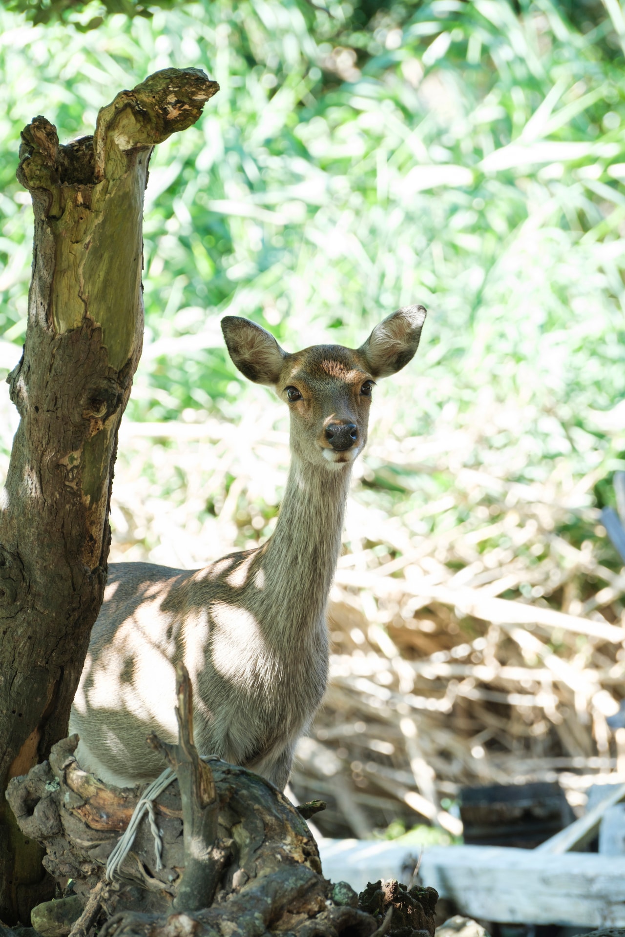 撮影：橋本篤。