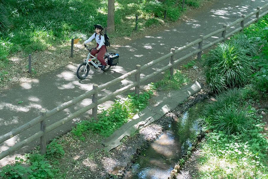 林試の森公園は林業試験場時代からの貴重な植物なども見られる、まさに都会のオアシス。自転車を止めて、植物観察なんていうのも良いかも。