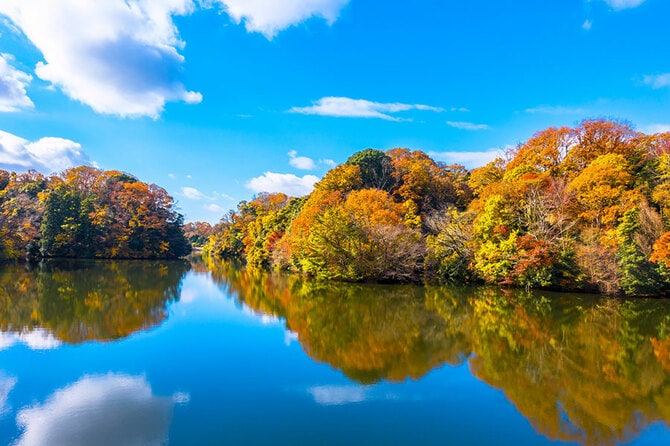 風景画 秋の自然 風景 大阪府 2022年版】 秋の絶景・風物詩6選 水面に映る紅葉や空が