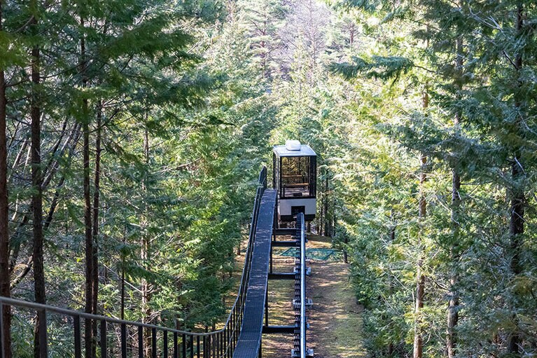 森の中を進むスロープカー。ちょっとしたアトラクションのようでワクワク。
