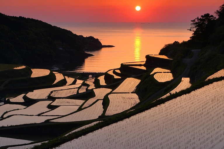 浜野浦の棚田。