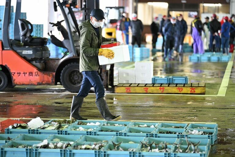 水揚げされたばかりの魚がずらり。