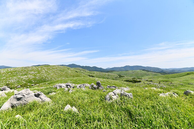 秋吉台／山口県