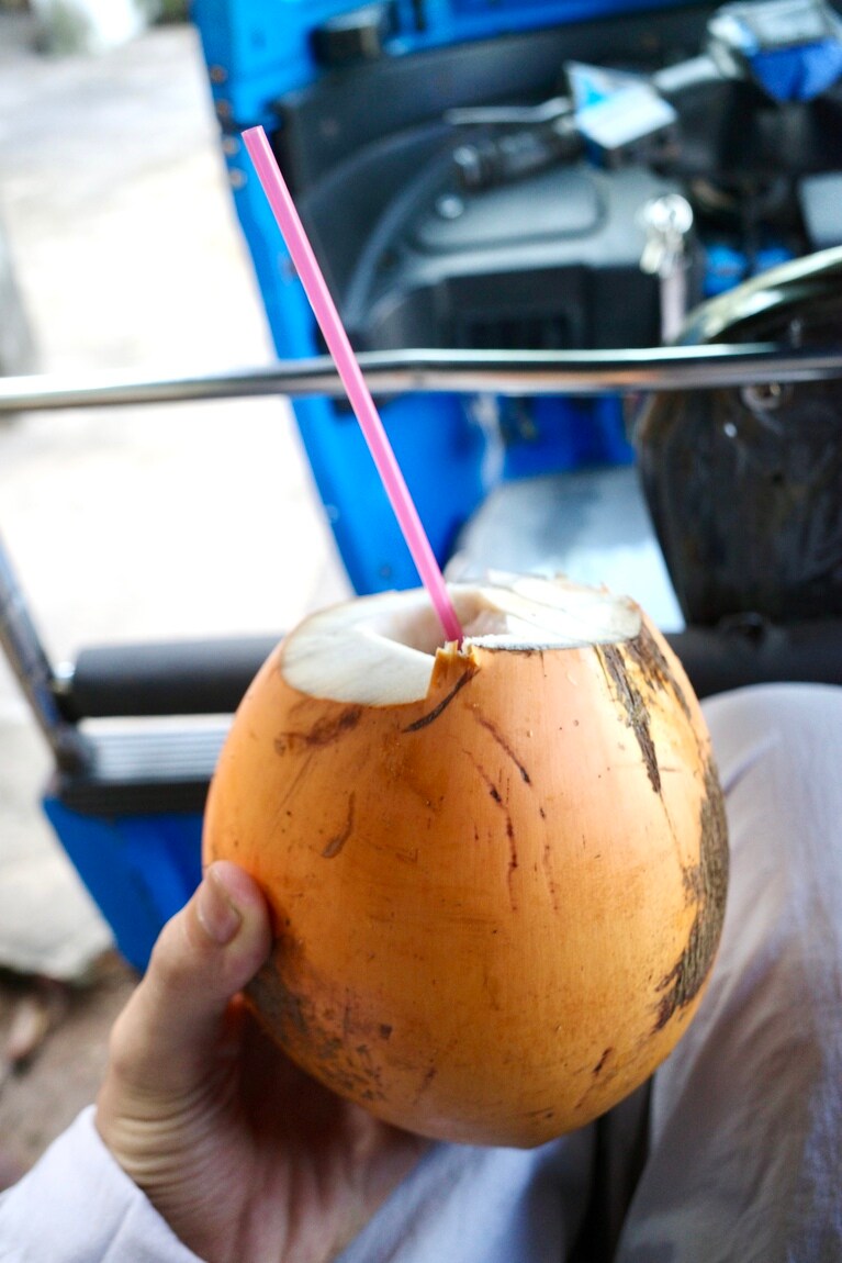 すっきりとした甘さでおいしい。