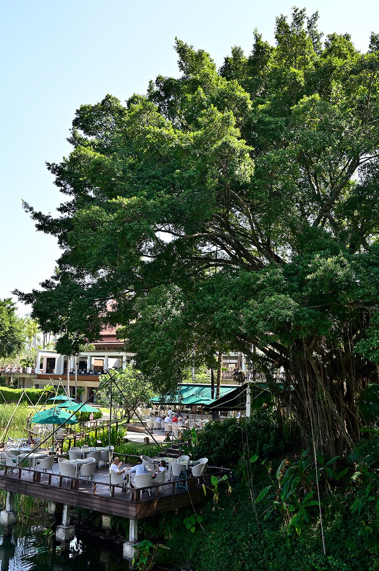 ラグーンを見渡すデッキ席が心地よい「ウォーターコート」。