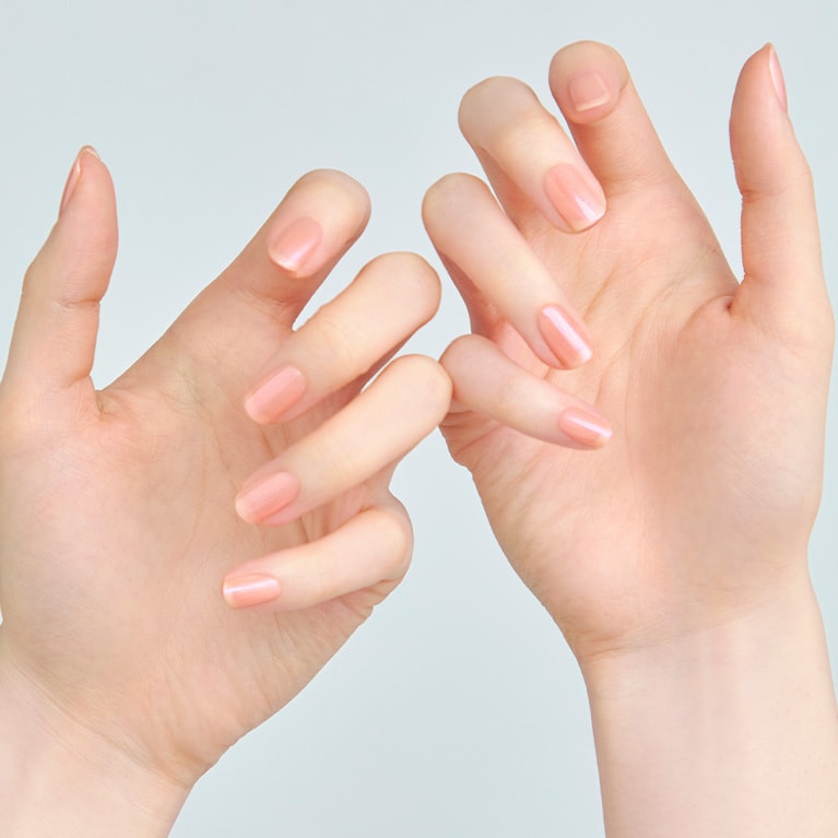 81 Rosy oasis（ロージーオアシス）使用イメージ。