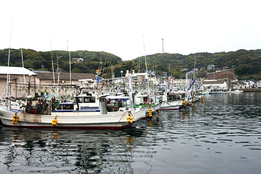 漁業の町として歴史のある勝本エリア。