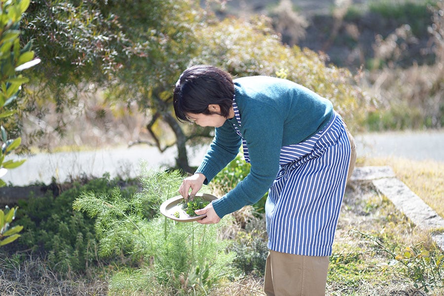 庭にワサワサと茂っているフェンネルの葉を摘み今日の料理に。