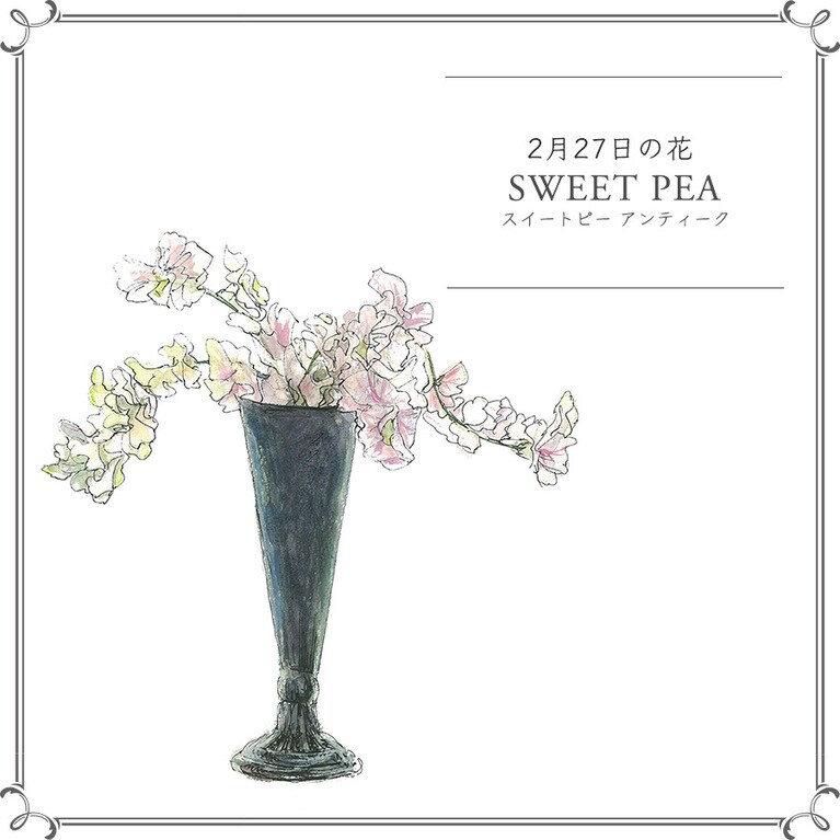 2月27日の花「スイートピー アンティーク」
