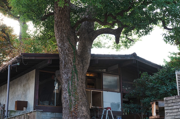 「などや島津山」では2023年1月29日(日)まで、プロダクトデザイナー・原嶋亮輔氏の展覧会を開催している。