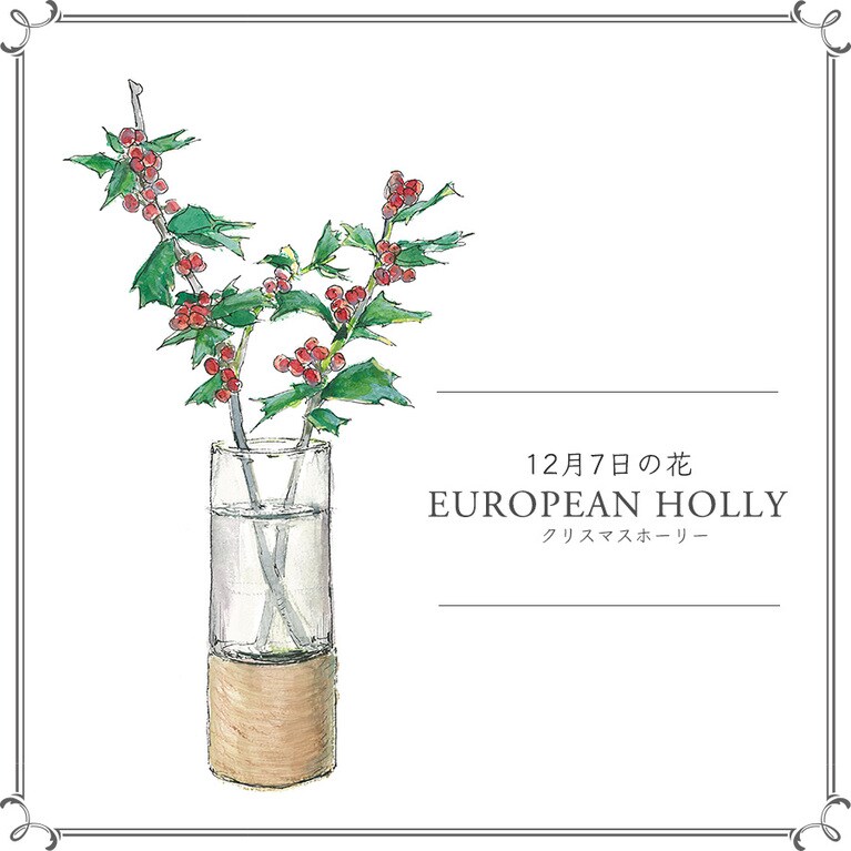 12月7日の花「クリスマスホーリー」