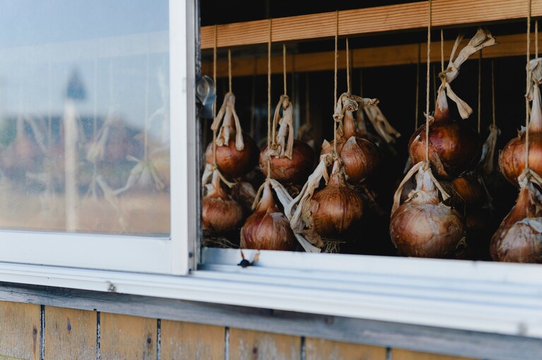 両津大川の風景。