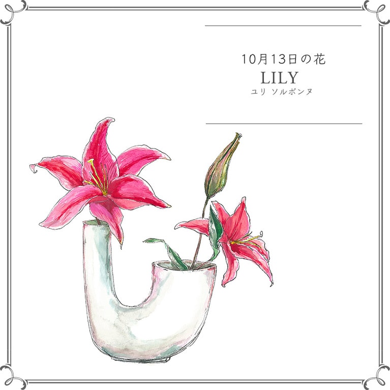 10月13日の花「ユリ ソルボンヌ」