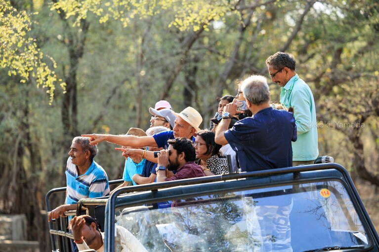 ランタンボール国立公園に生息するロイヤルベンガルタイガーの数は現在、約80頭。自然環境を観光資源としたサファリ産業が環境保全の資金源となっている。©Koki Yamada