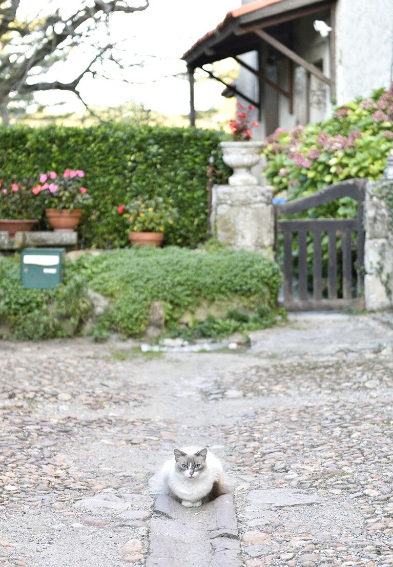 フランス©Takashi Shimizu