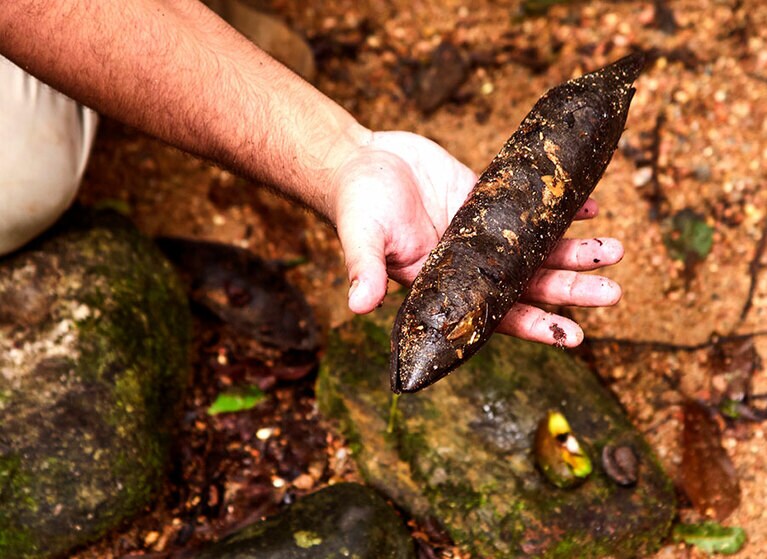 ブラックビーンと呼ばれる豆は鉄分が豊富で女性の体にいい。粉にしてパンを焼いていた。