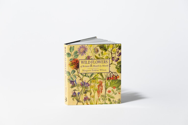 洋書“WILD FLOWERS of Britain”。