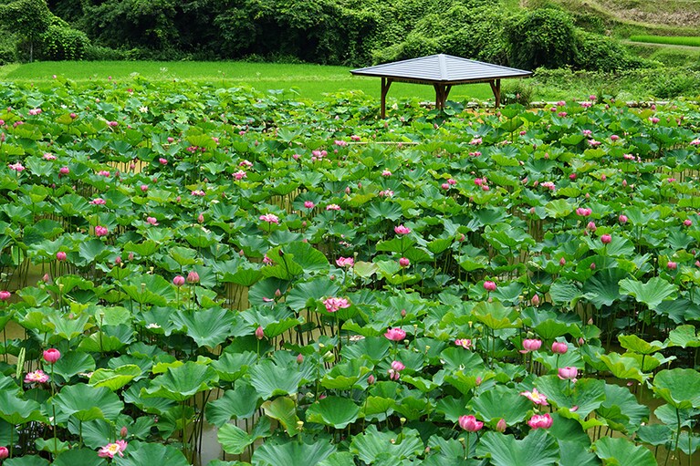 宮地やすらぎの里／岡山県